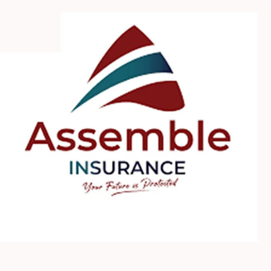 AGS TECHNOLOGIES | Finance Consultant