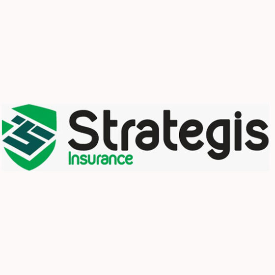 AGS TECHNOLOGIES | Finance Consultant